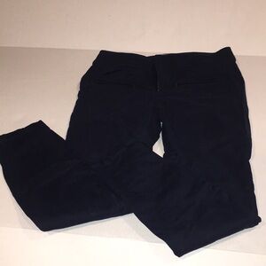 Loft Outlet Skinny Ankle Navy Pants | Size 2